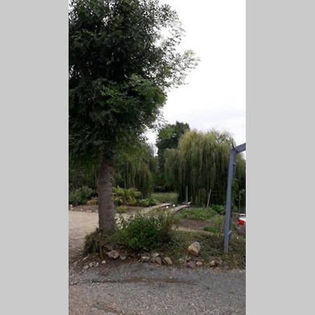 Blaison-Saint-SulpiceEntre Vignes Et Loireアパートメント エクステリア 写真